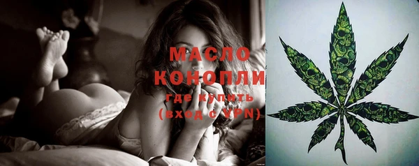 молекула духа Арсеньев