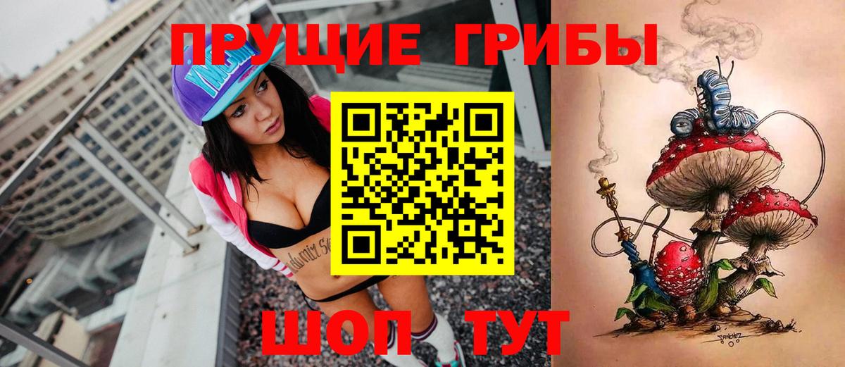 Галлюциногенные грибы прущие грибы  Вход с VPN  Долгопрудный 